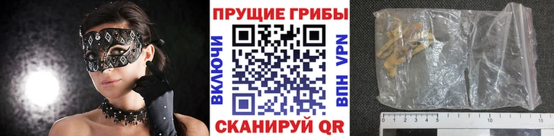 площадка формула Донецк Галлюциногенные грибы мухоморы купить наркотики сайты